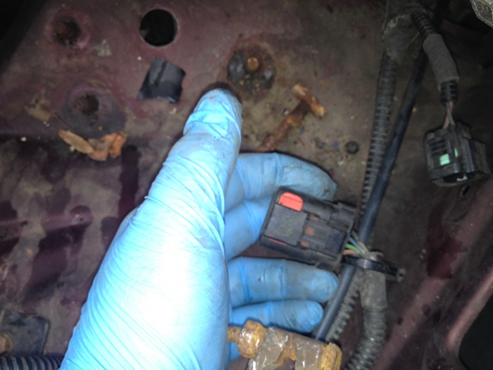 random plug question-photo-2-1.jpg