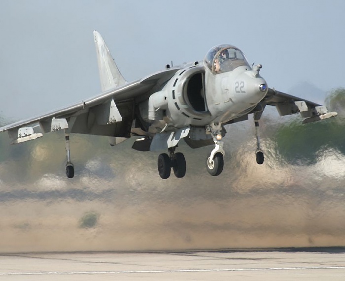 what is this for?-harriernearground.jpg