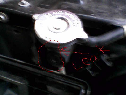 Name: rad2.JPG
Views: 113
Size: 20.1 KB