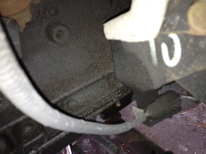 What am i looking at here?-image-4177418730.jpg
