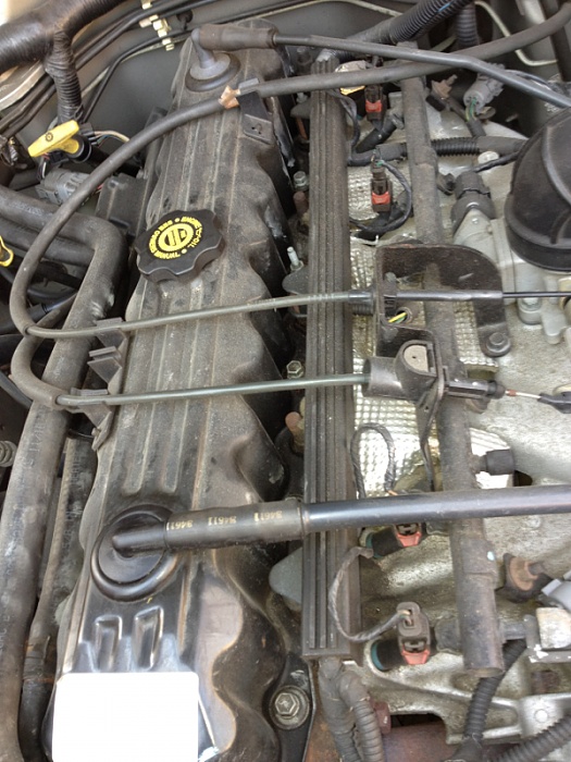 What am i looking at here?-image-3079247423.jpg