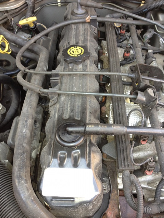 What am i looking at here?-image-81842690.jpg