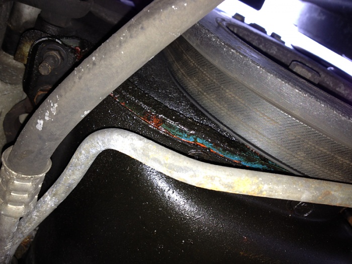What am i looking at here?-image-1086229616.jpg