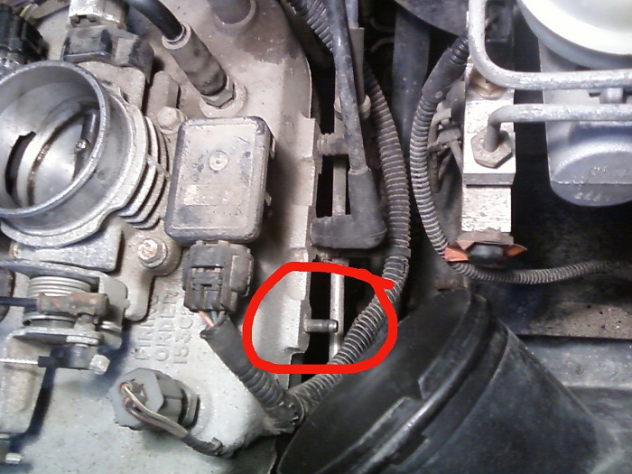 What the deuce is this little guy for?-0301121715a.jpg