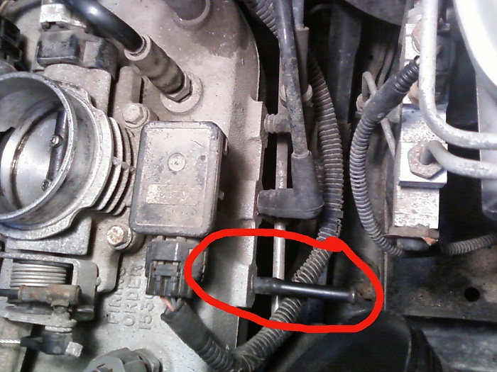 What the deuce is this little guy for?-0301121715.jpg