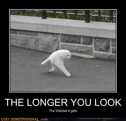 Name:  demotivational-posters-the-longer-you-look.jpg
Views: 79
Size:  32.0 KB