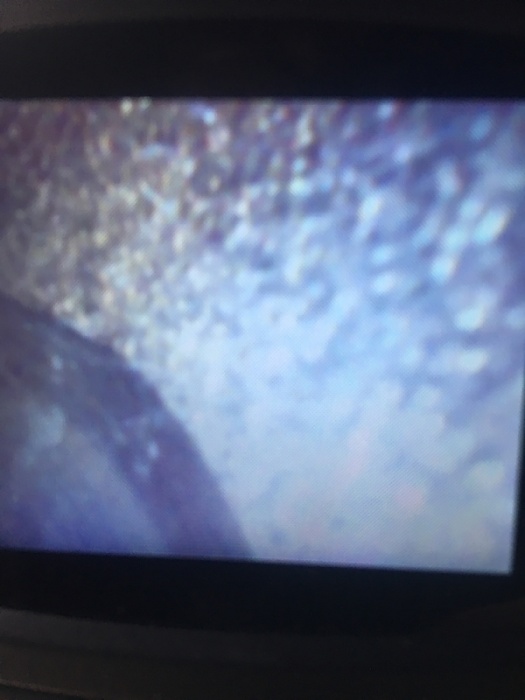 Steam cleaning your 4.0-image-2147701018.jpg