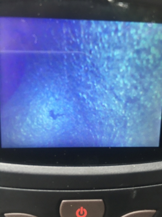 Steam cleaning your 4.0-image-1349712539.jpg