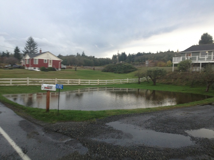 Todays rain "storm"-image-401552518.jpg