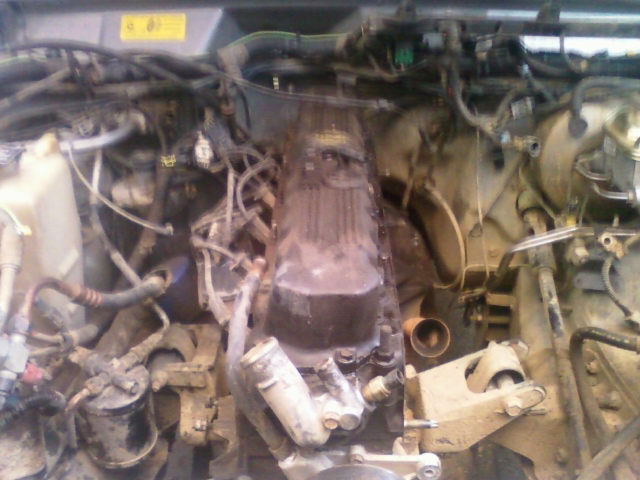 Project Great White-ready-pull-3.jpg