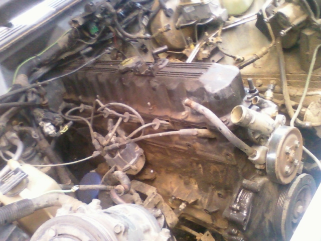 Project Great White-ready-pull-2.jpg