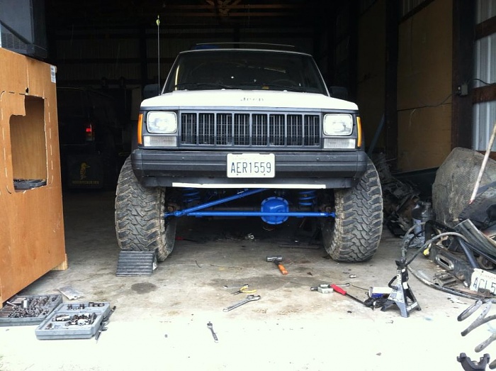 Project Rebuild, bigger and better.-whitey2.jpg