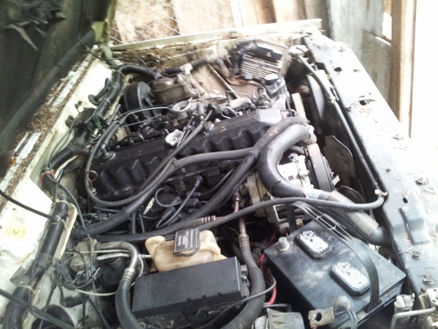 Looked at a cheap 91 xj today-20131013_121501-640x480-.jpg