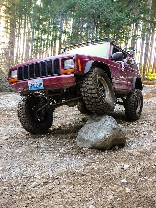 The "Jeep Jeep"-received_941365865887950.jpeg
