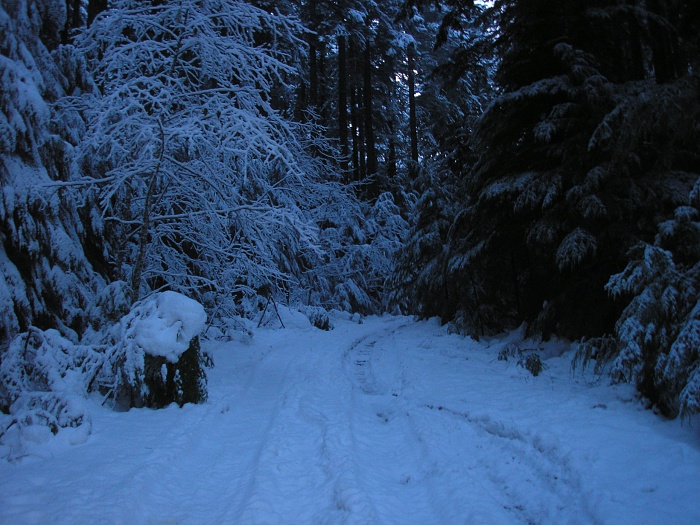 new years on goat mtn?-p1010003.jpg