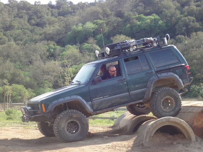 anyone in the bay area-image-3413799003.jpg