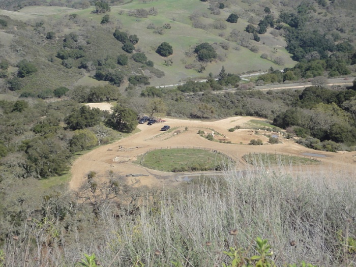 anyone in the bay area-image-881941047.jpg