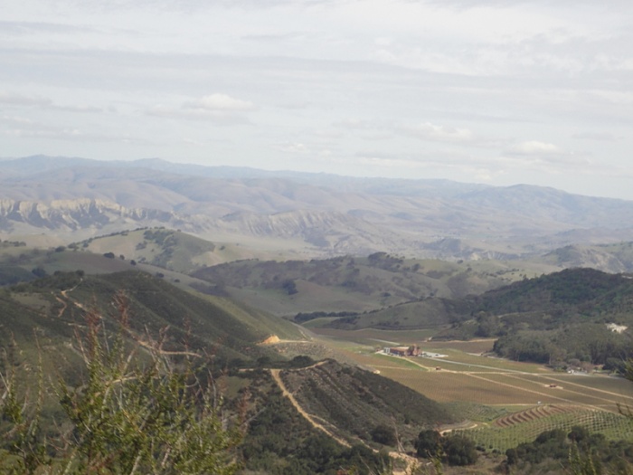 anyone in the bay area-image-424080225.jpg