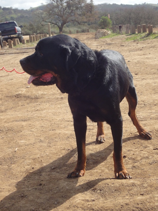 anyone in the bay area-image-1765425428.jpg