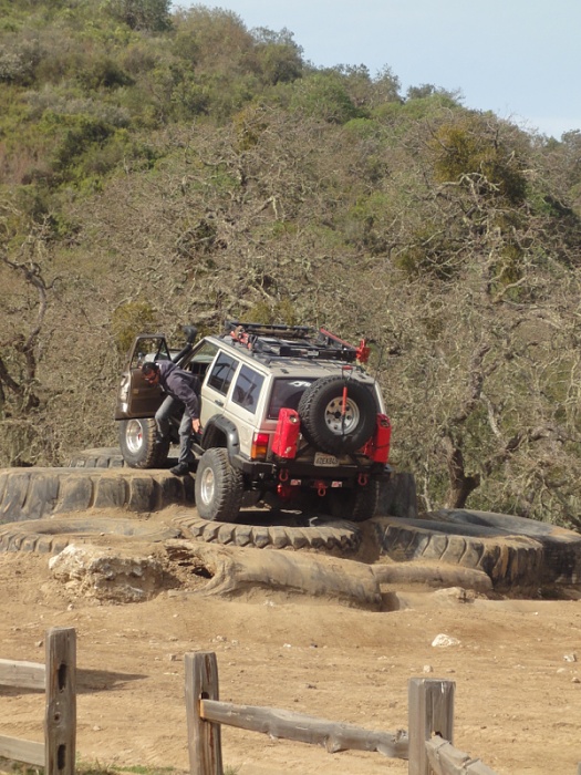 anyone in the bay area-image-2762043193.jpg