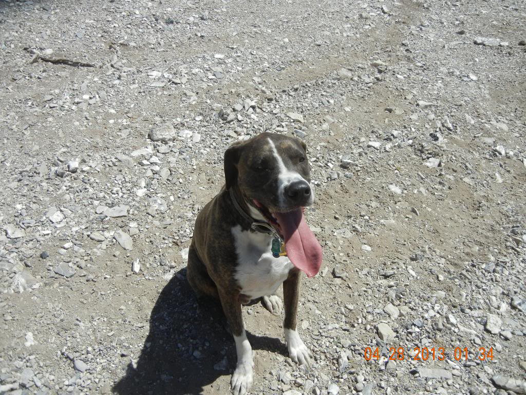 Name: WheelersPass4-28-13078_zpscf087a11.jpg
Views: 22
Size: 227.4 KB
