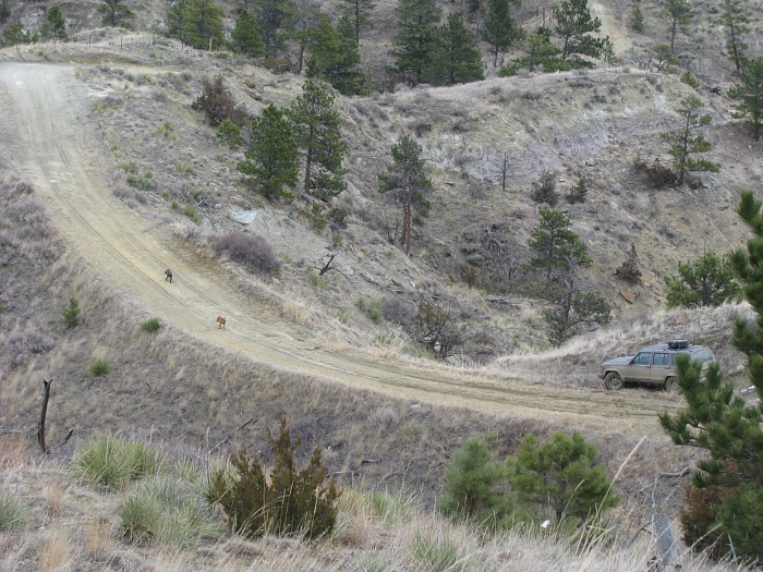 Montana Spring Ride....?-img_5907.jpg