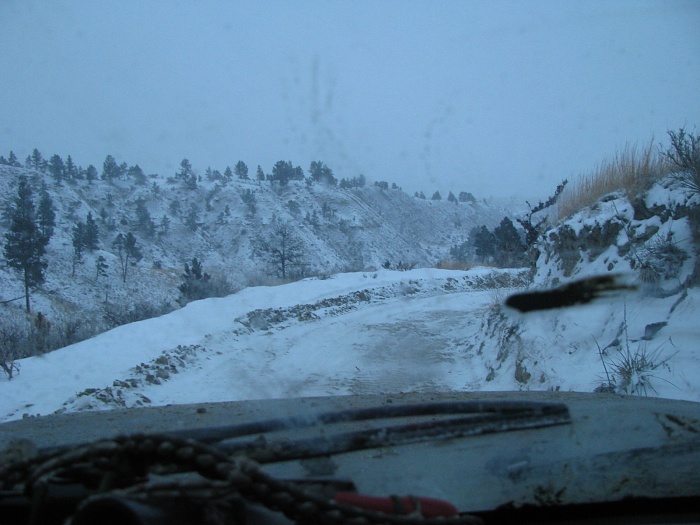 Montana Spring Ride....?-img_9528.jpg