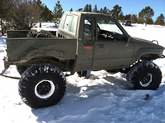 wyoming roll call!!-image-1739107144.jpg