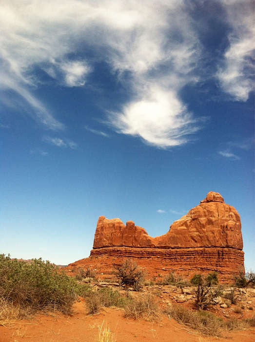 Denver bs thread-image-303299287.jpg
