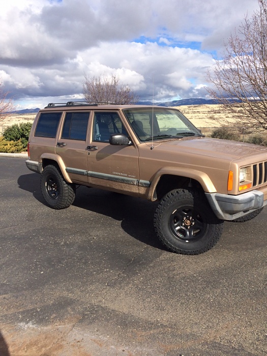 In az and new to the forum-image-1935720604.jpg