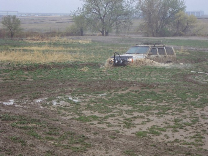 Local Area M n G-image-3787038005.jpg