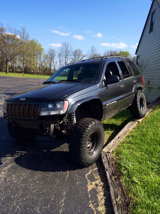Great Lakes Introductions-image.jpg