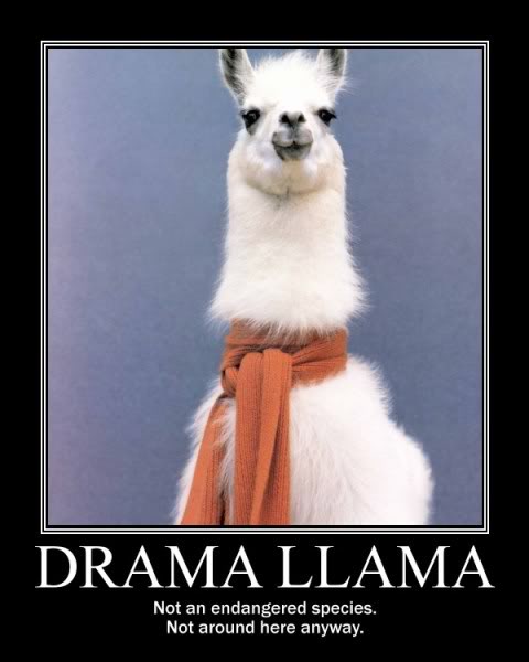 Name:  drama-llama.jpg
Views: 14
Size:  31.3 KB