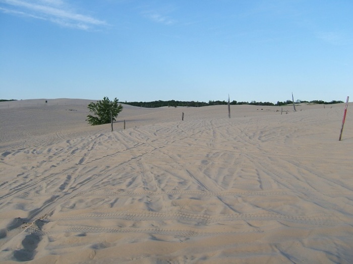 Illinois' Down and Dirty meet and greet/dune days round-up-6-12-09-silverlake-ludington-pictures-030.jpg
