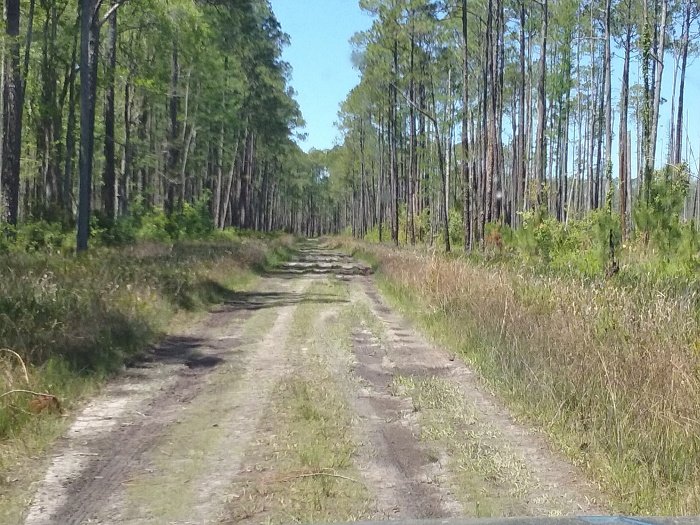 Any Florida Georgia Line Trail Spots-20160409_130701.jpg