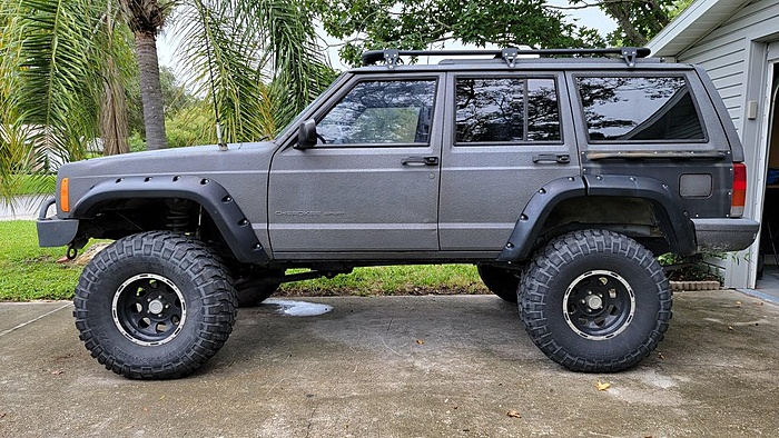 Anyone in the central Florida area-gr8wvu0h.jpg