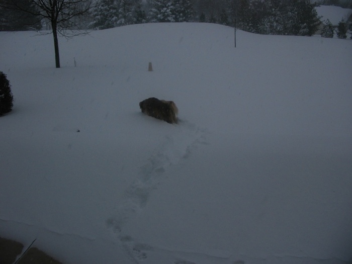 SNOW STORM-032.jpg