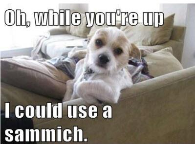 Name:  Sammich photo.jpg
Views: 55
Size:  20.3 KB