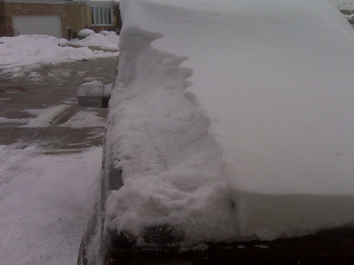 SNOW STORM-img00187.jpg