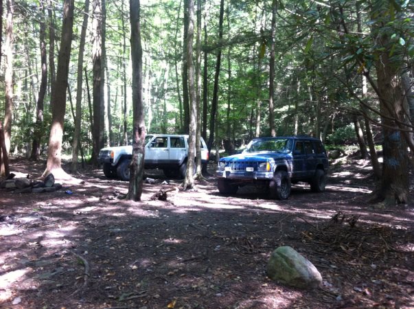 nepa area-img_8717.jpg
