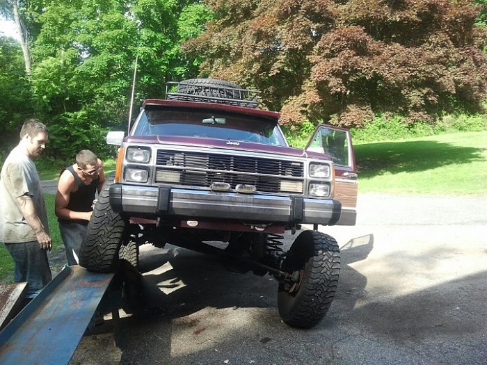 random flex pics!!!!!!-wag3.jpg