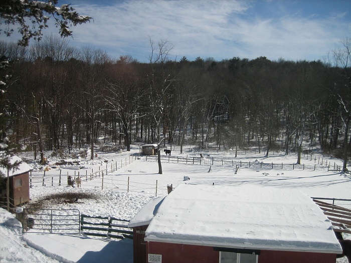 NE snow-feb092013-003.jpg