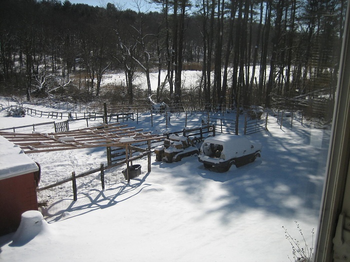 NE snow-feb092013-001.jpg