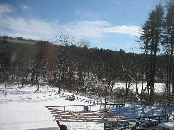 NE snow-feb092013-004.jpg