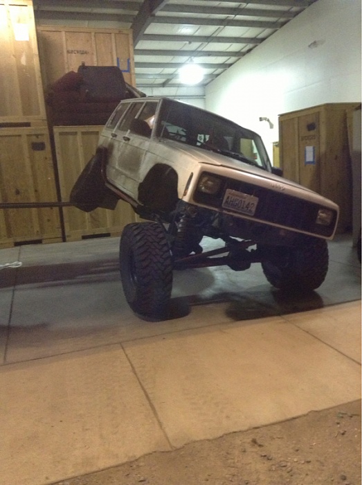random flex pics!!!!!!-image-3873475192.jpg