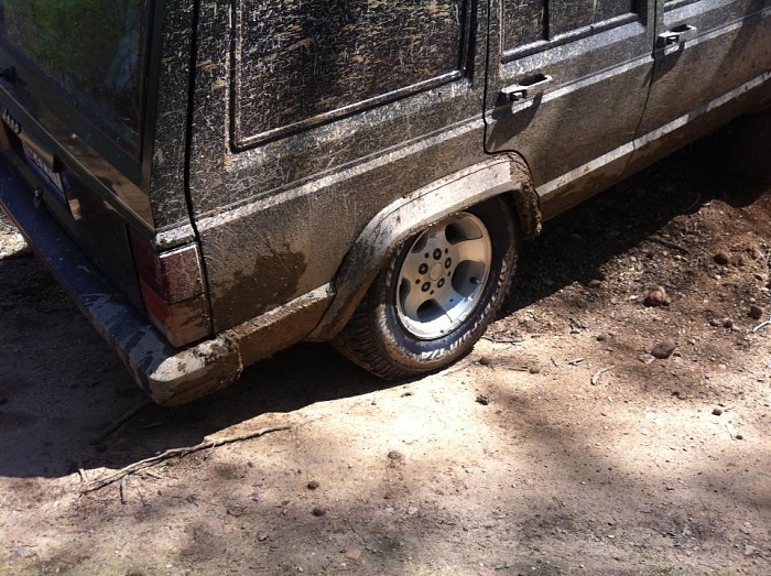 random flex pics!!!!!!-image-2211010448.jpg