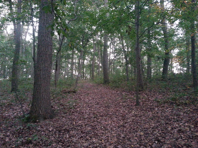 Name:  ForumRunner_20141001_195956.png
Views: 47
Size:  718.0 KB
