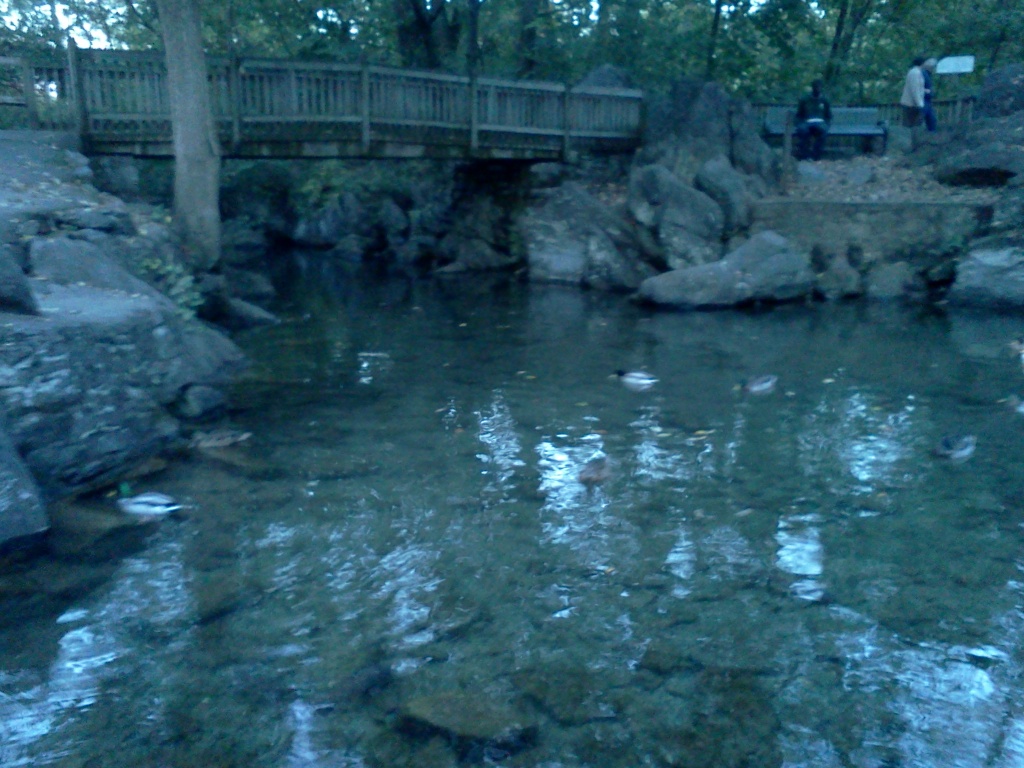 Name:  IMG_20121006_183852.jpg
Views: 18
Size:  312.7 KB