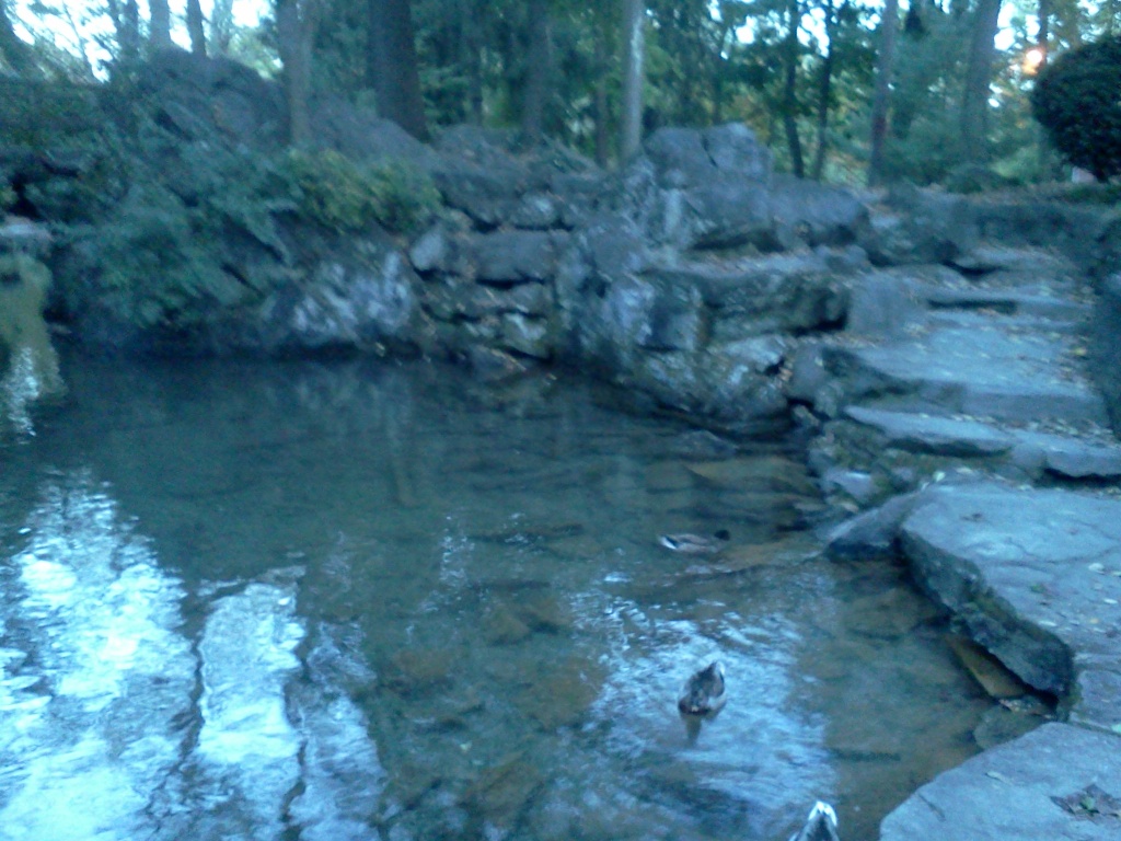 Name:  IMG_20121006_183859.jpg
Views: 19
Size:  310.1 KB