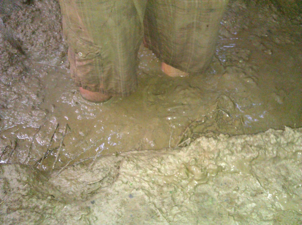 Name:  IMG_20120621_192626.jpg
Views: 22
Size:  253.8 KB